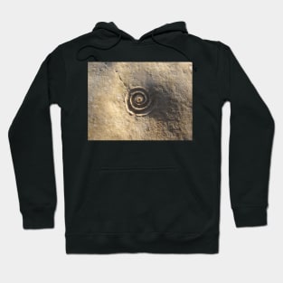 Fossil of a Spiral Shell in Stone Hoodie